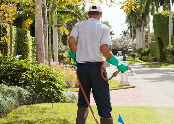 About Quincy MI Pest Control